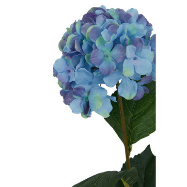 Fiori 74cm Hydrangea Blue Stem