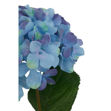Fiori 74cm Hydrangea Blue Stem