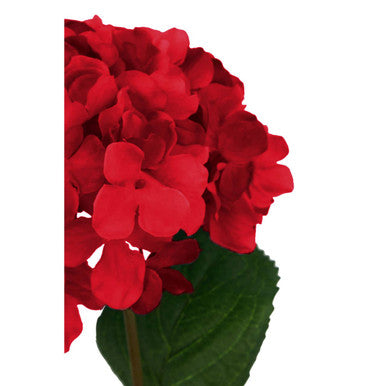 Fiori 74cm Hydrangea Red Stem