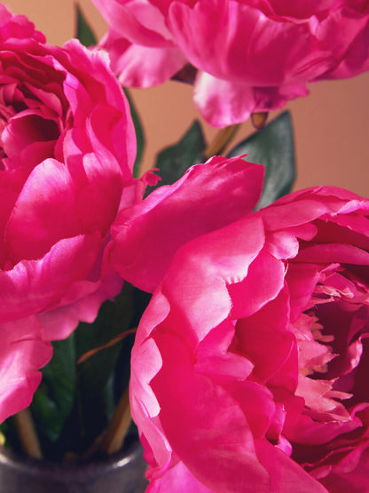 Fiori 65cm Peony Fuchsia Stem