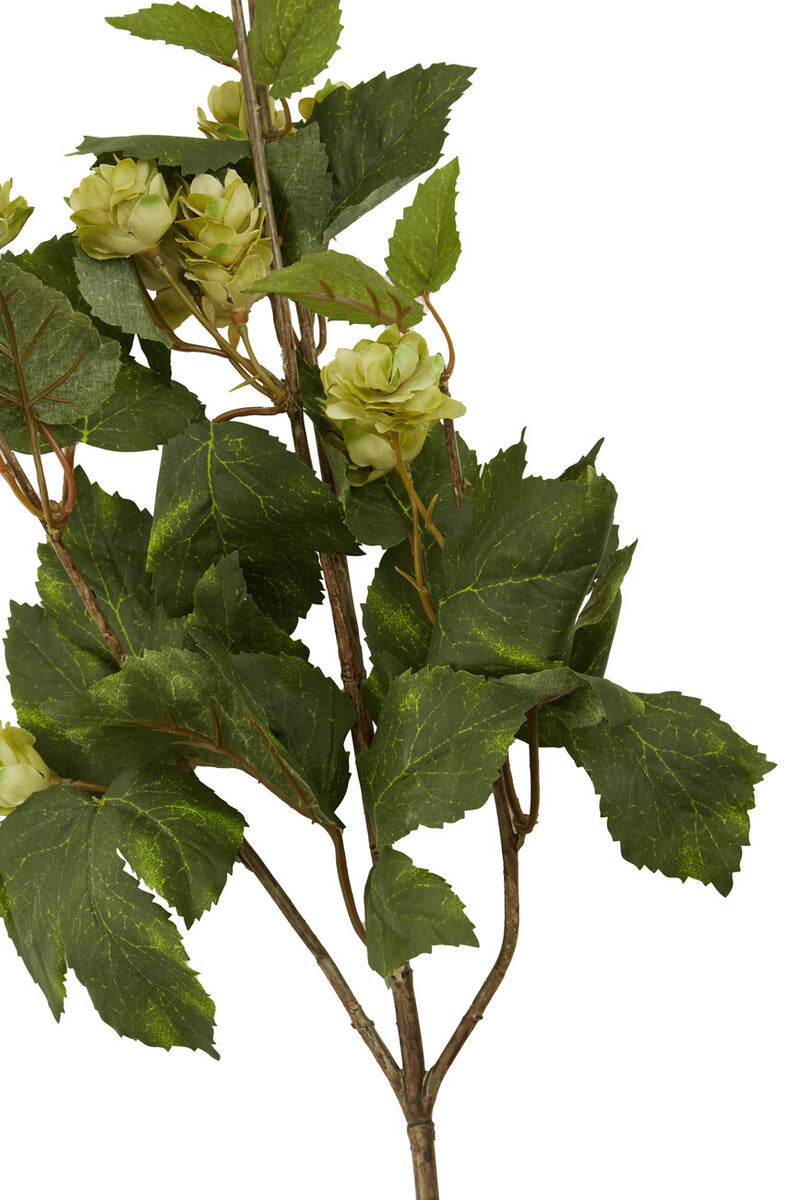 Fiori Faux Pale Lime Hops Stem