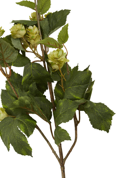 Fiori Faux Pale Lime Hops Stem