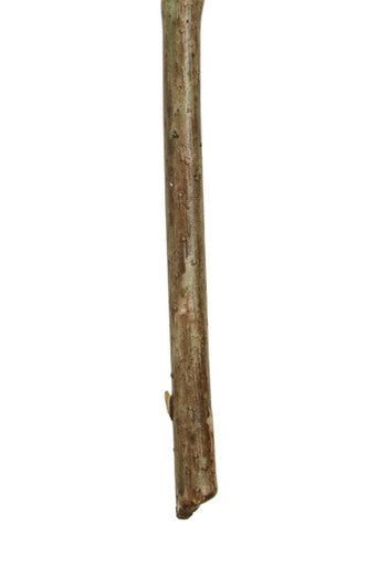 Fiori Faux Pale Lime Hops Stem