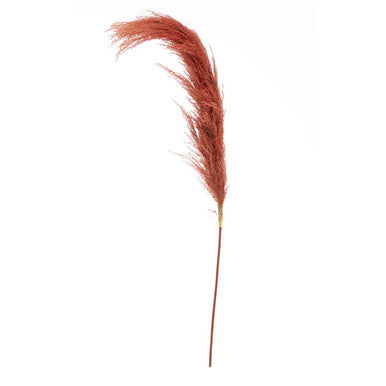 Fiori Pampas Grass Orange Stem - image 1