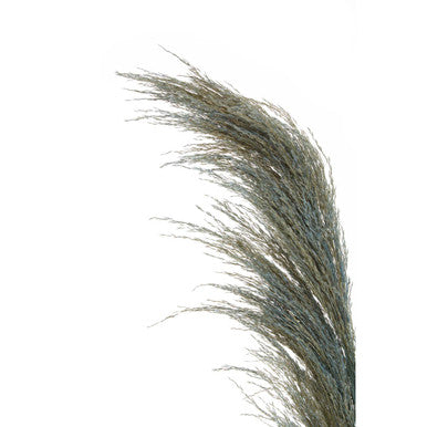 Fiori Blue Tall Pampas Grass Stem