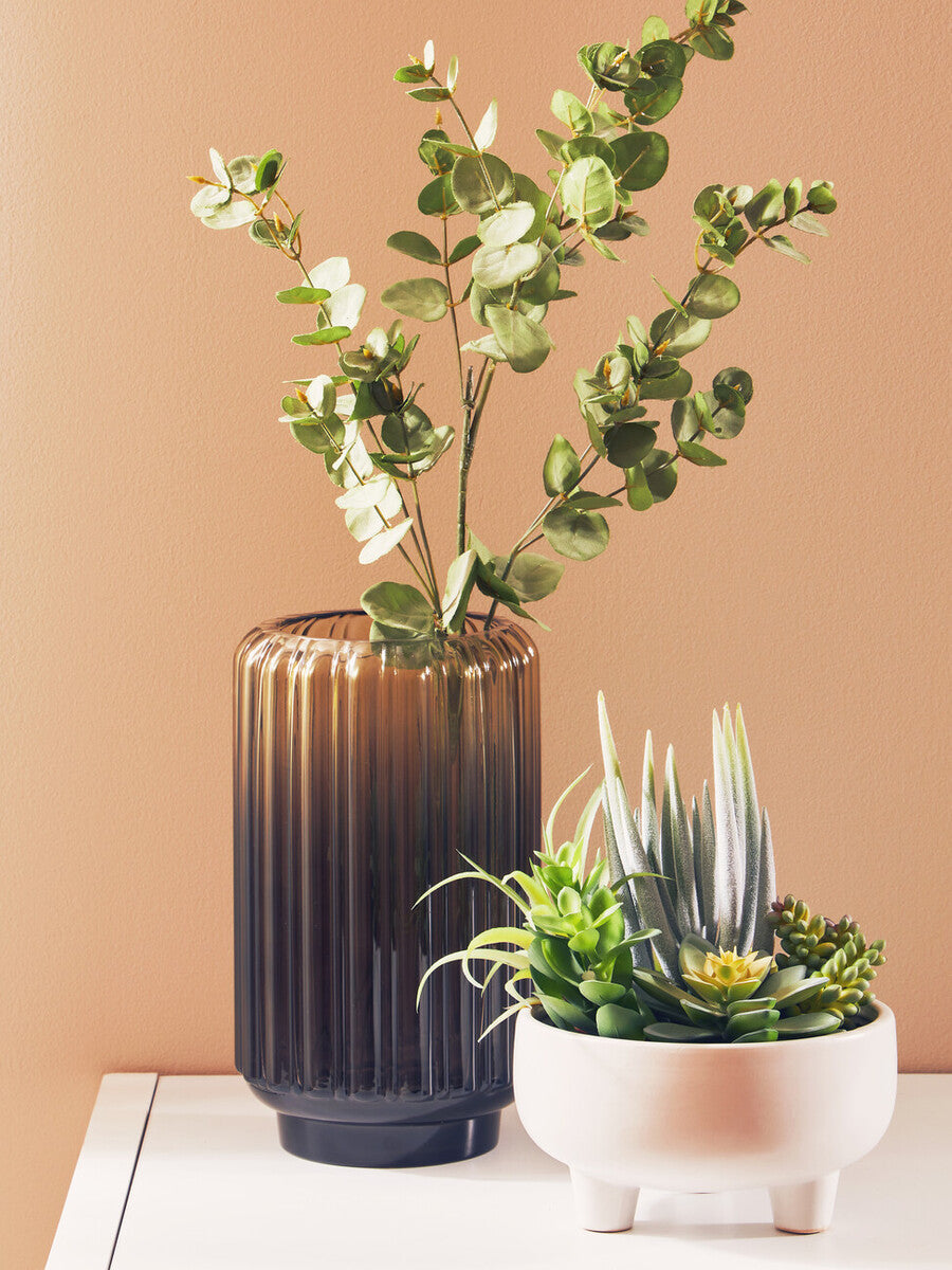 Fiori Mixed Succulents In Large Ceramic Pot