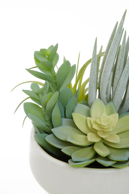 Fiori Mixed Succulents In Large Ceramic Pot