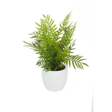 Fiori Fern