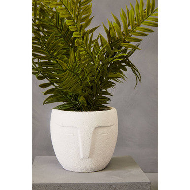 Fiori Fern - image 7
