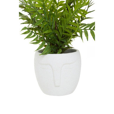 Fiori Fern