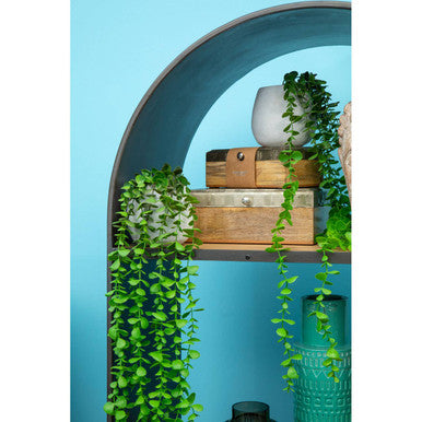 Fiori Trailing Ivy
