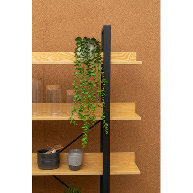 Fiori Trailing Ivy