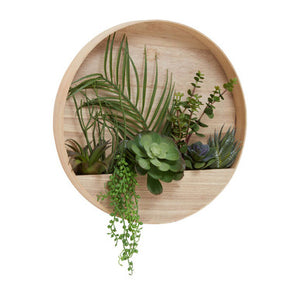 Fiori Mixed Succulents In Wood Wall Planter
