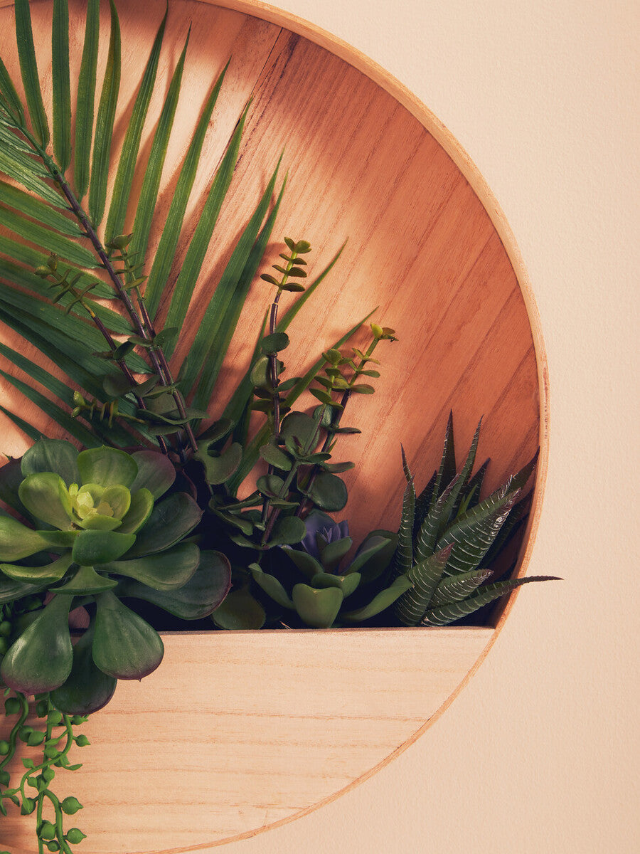Fiori Mixed Succulents In Wood Wall Planter
