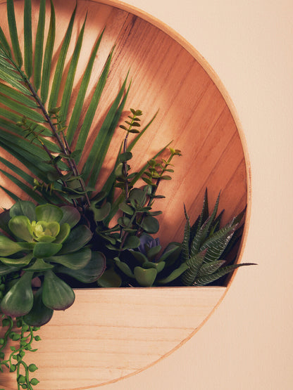 Fiori Mixed Succulents In Wood Wall Planter