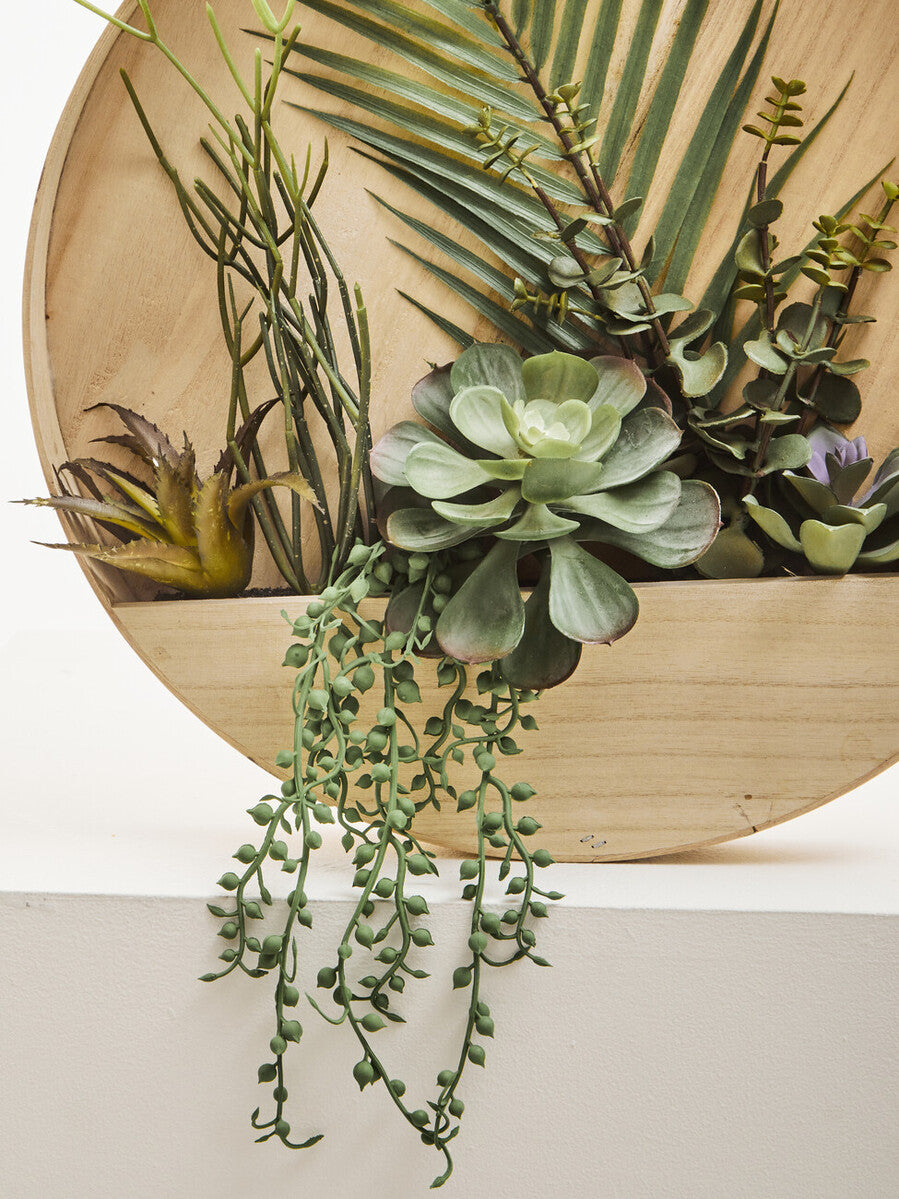 Fiori Mixed Succulents In Wood Wall Planter