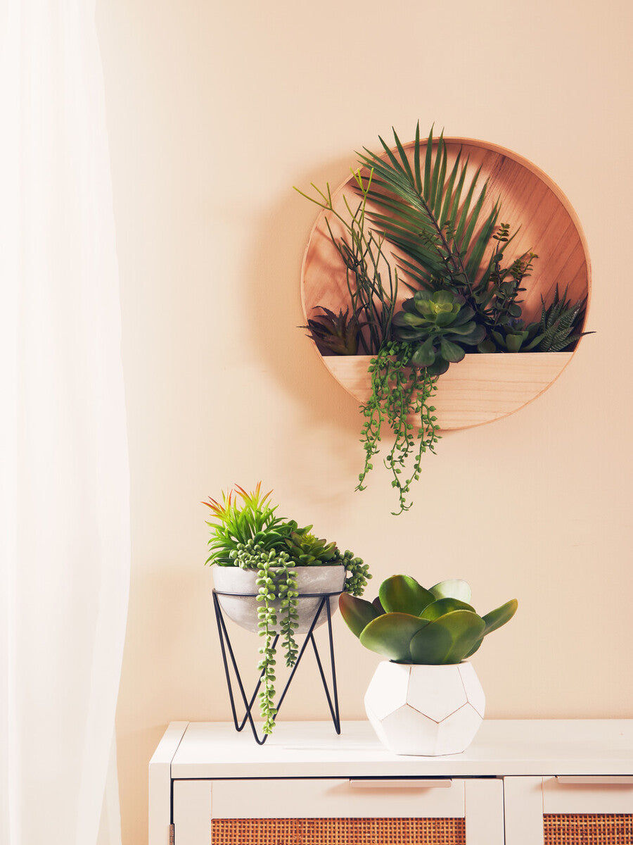Decorative wall planter with plants on a beige wall