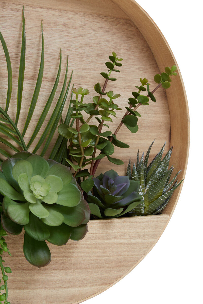 Fiori Mixed Succulents In Wood Wall Planter