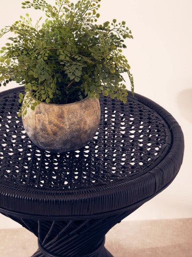 Fiori Fern With Cement Pot