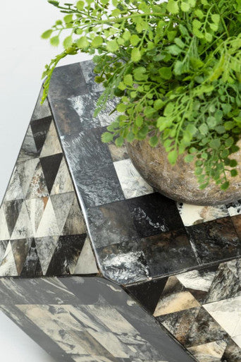 Fiori Fern With Cement Pot