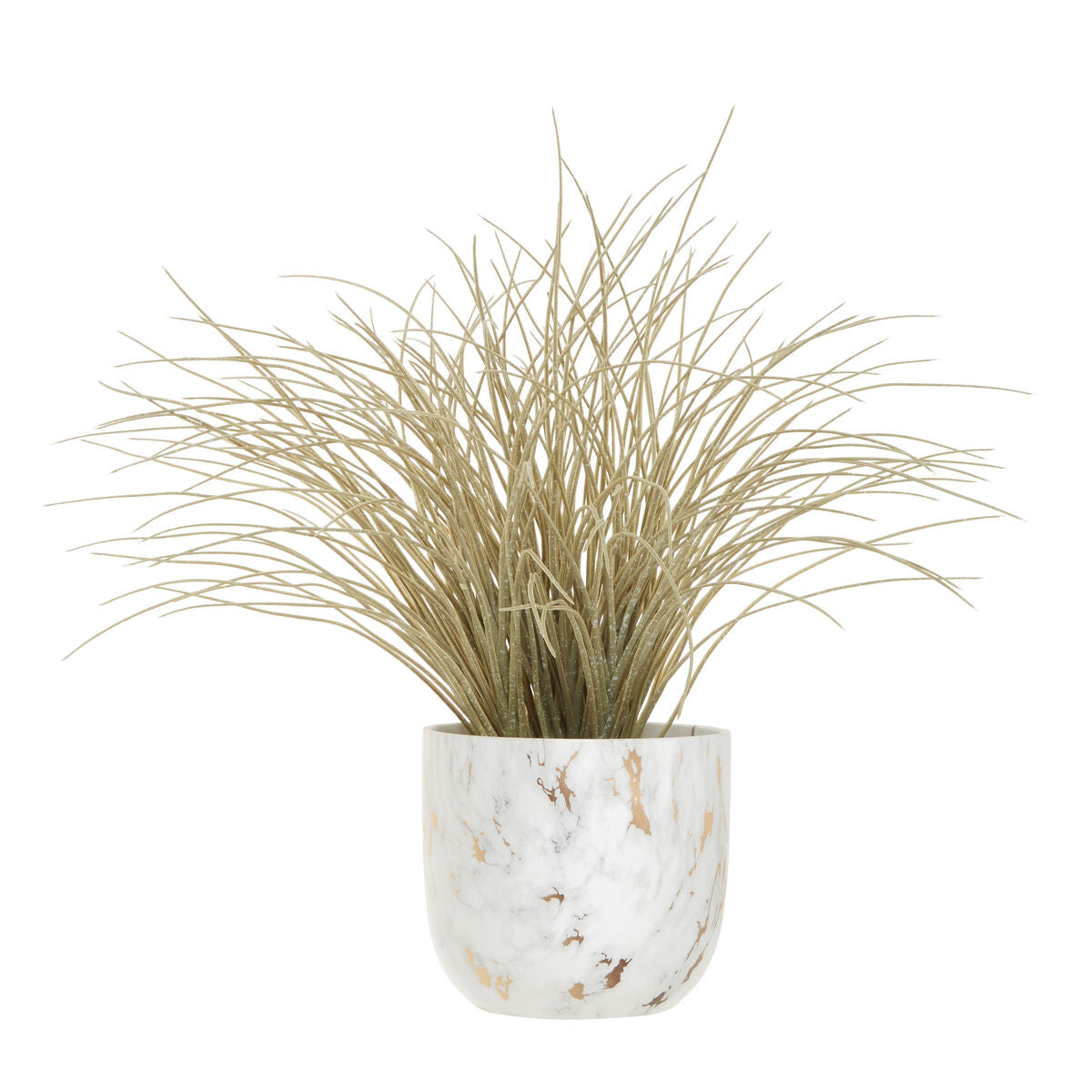 Fiori Grass Plant in a Pot