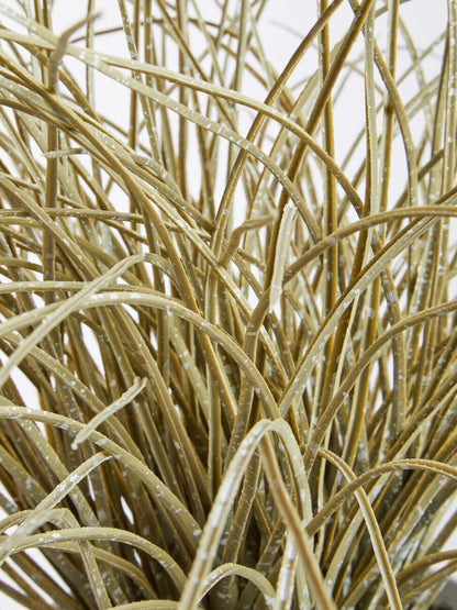 Fiori Grass Plant in a White Marble Effect Pot