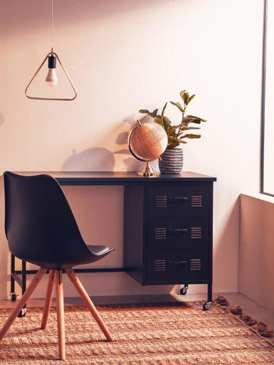 Fiori Ficus Plant in a Pot