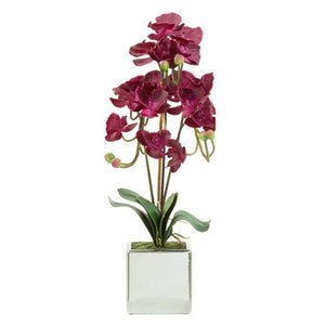 Fiori Purple Orchid in Silver Pot
