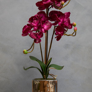 Purple Orchid in Silver Pot | Fiori