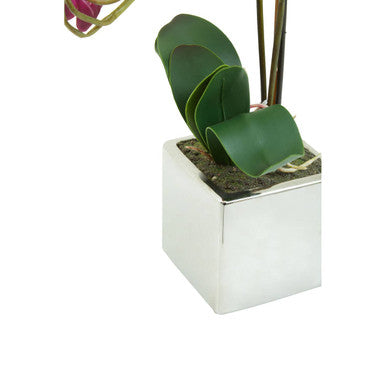 Fiori Purple Orchid in Silver Pot