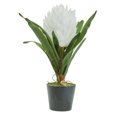 Fiori White Tropical Plant in Black Pot