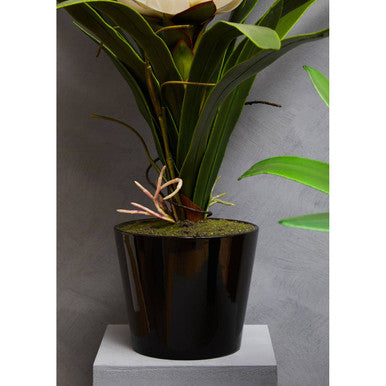 Fiori White Tropical Plant in Black Pot