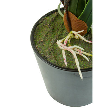 Fiori White Tropical Plant in Black Pot