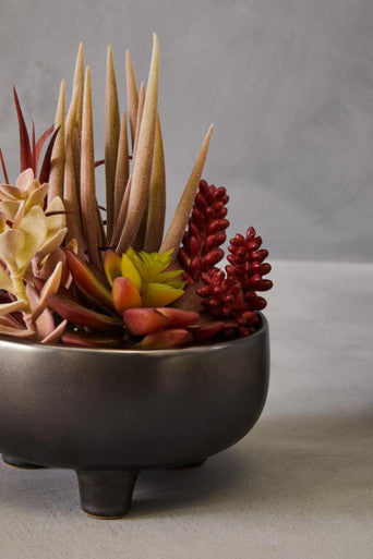 Fiori Mixed Succulents In Grey Ceramic Pot
