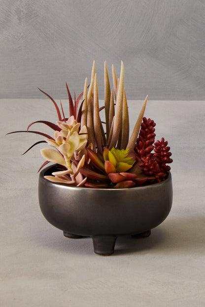 Fiori Mixed Succulents In Grey Ceramic Pot