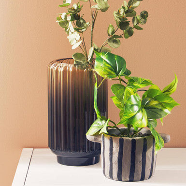 Fiori Devils Ivy - image 2