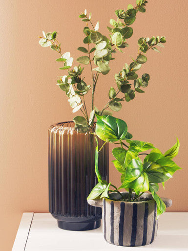 Fiori Devils Ivy - image 7