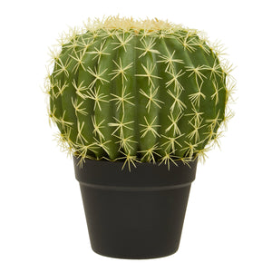Fiori Round Cactus in Pot