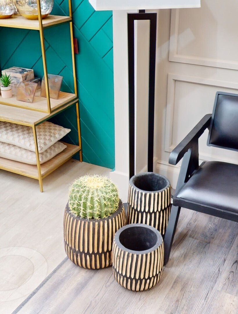 Fiori Round Cactus in Pot