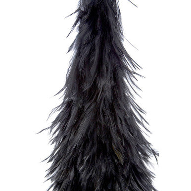 Black Feather Tree