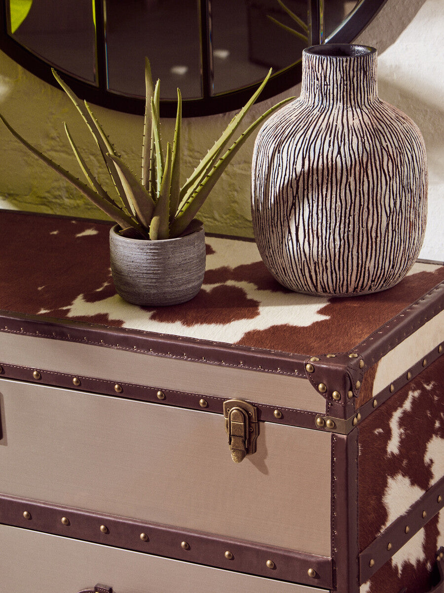 Kensington Townhouse Brown And White Cowhide Cabinet - Image 10
