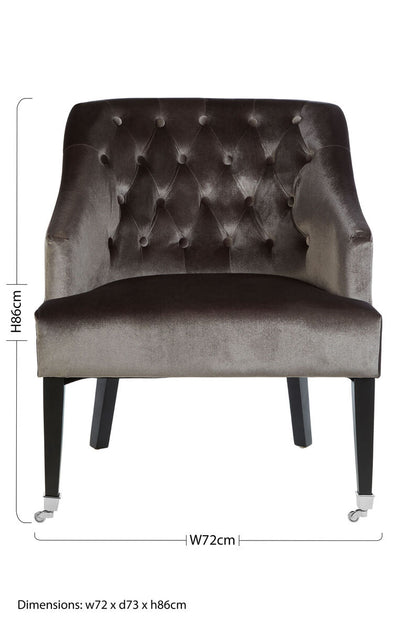 Darwin Grey Velvet Chair