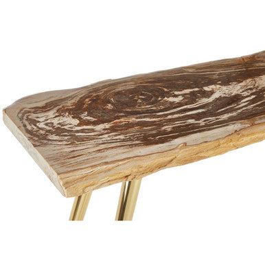 Relic Petrified Wood Console Table