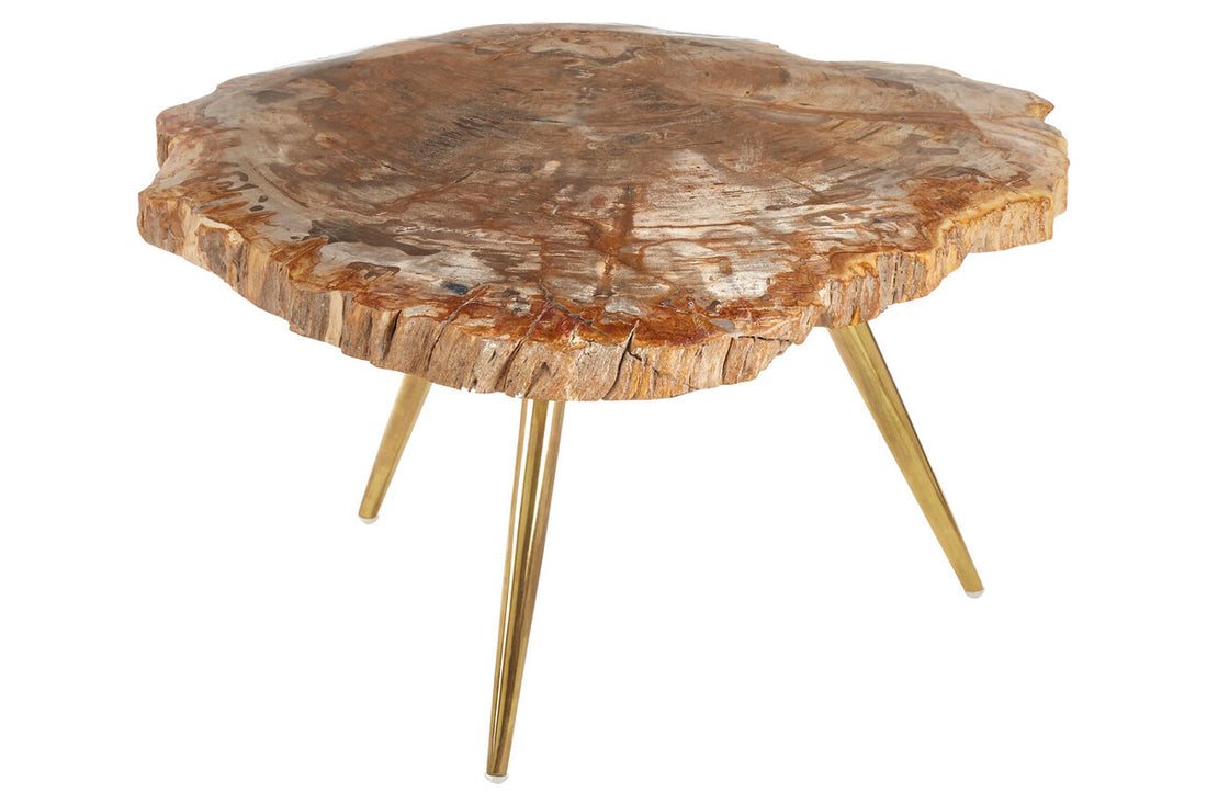 Relic Petrified Wood Coffee Table with Brass Finish Legs
