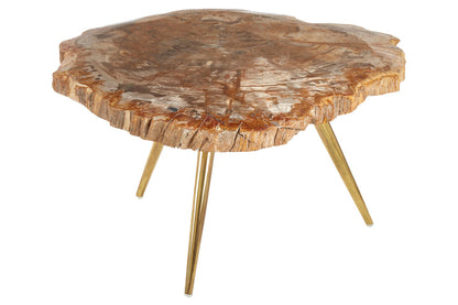 Relic Petrified Wood Coffee Table with Brass Finish Legs