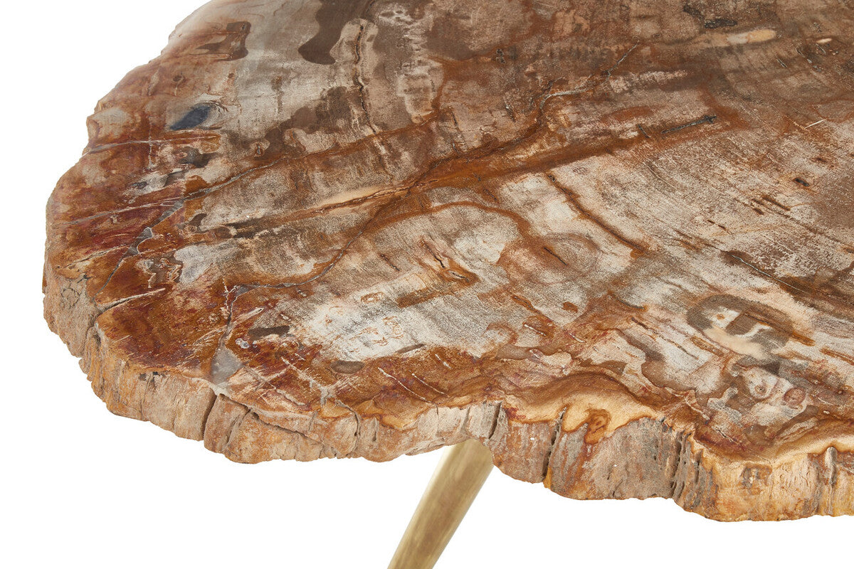 Relic Petrified Wood Coffee Table with Brass Finish Legs