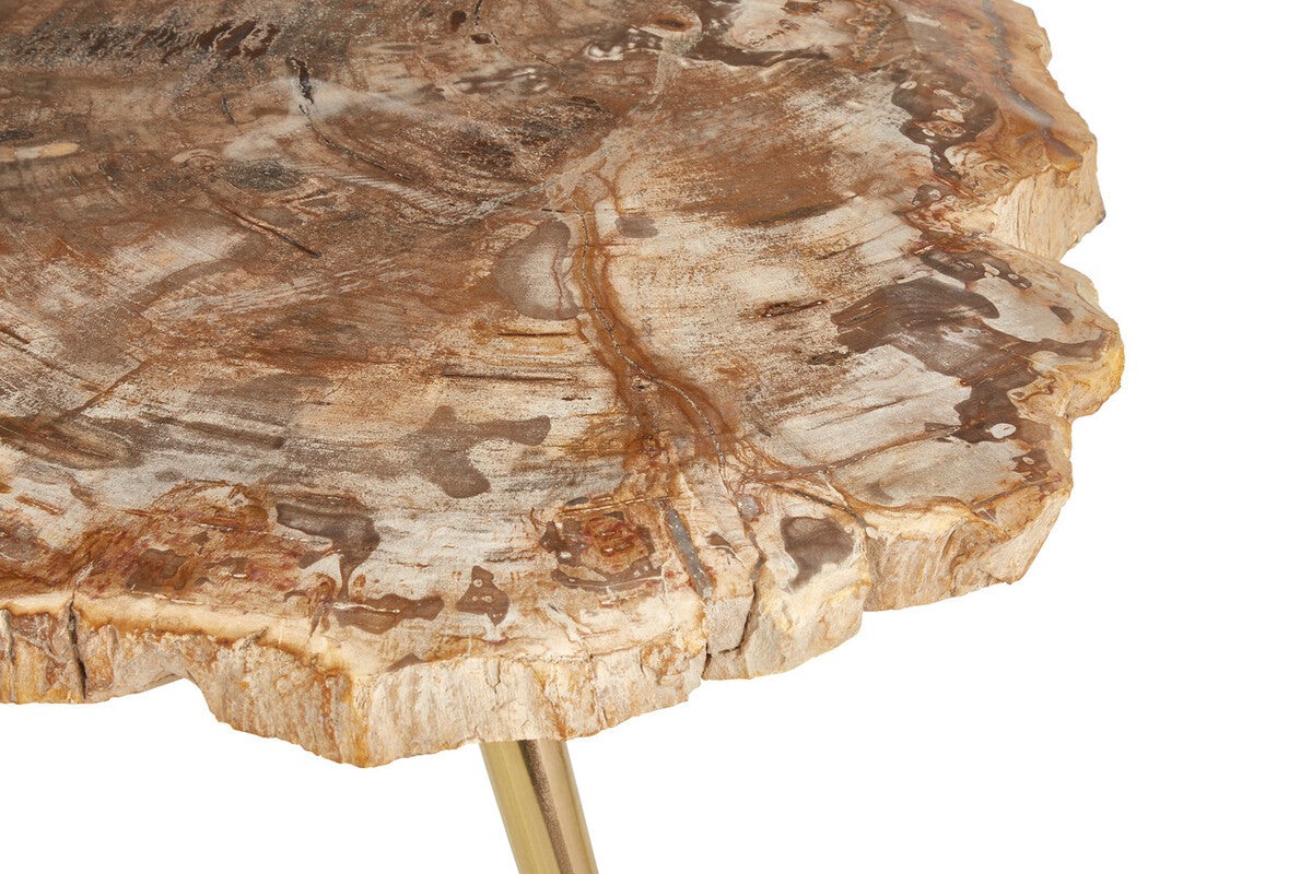 Relic Petrified Wood Coffee Table with Brass Finish Legs