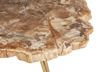 Relic Petrified Wood Coffee Table with Brass Finish Legs