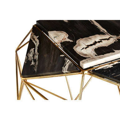 Relic Dark Petrified Wood Side Table