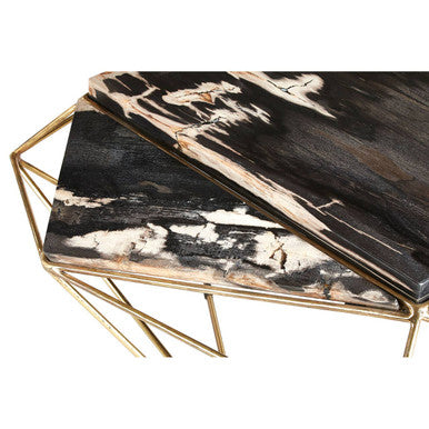 Relic Dark Petrified Wood Coffee Table